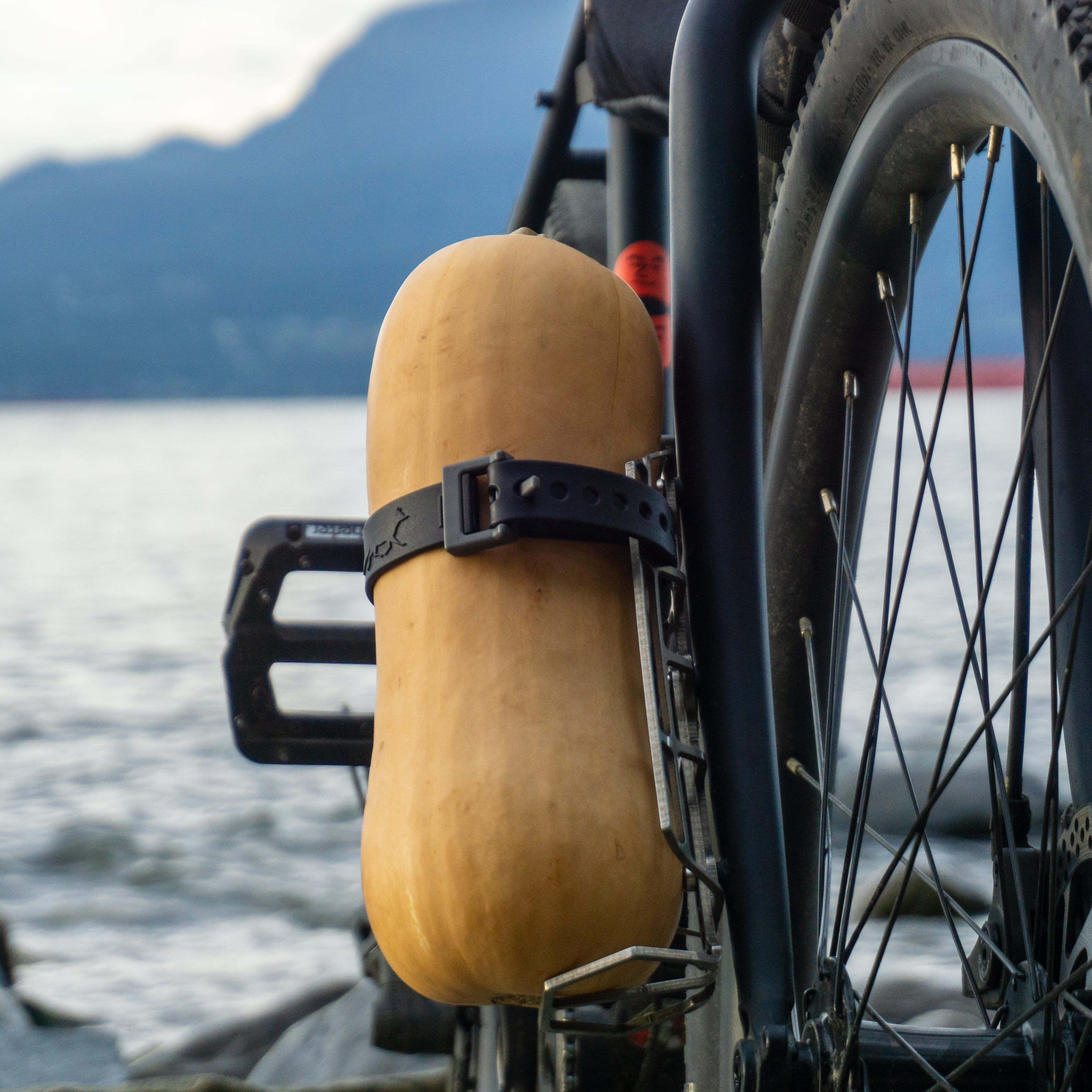 Stainless Steel Cargo Cage